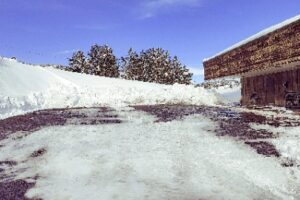 Snow & Ice